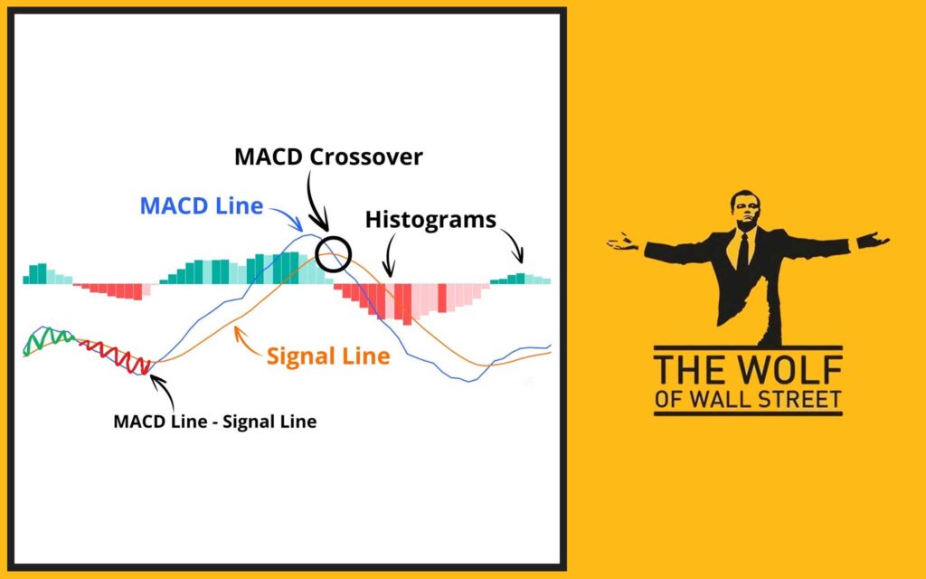 Reading the Signals: What MACD Tells You