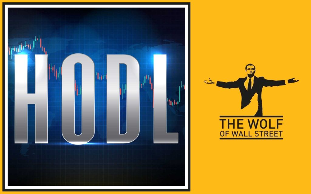 Hodling: The Patient Play for Monumental Wealth