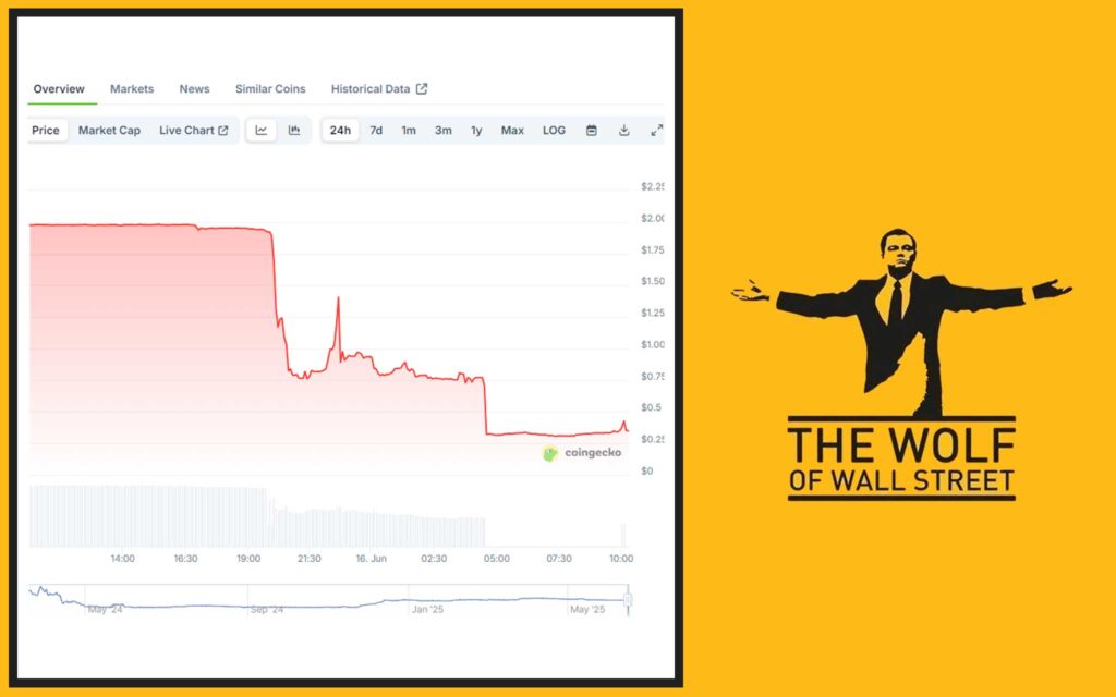 The Anatomy of the Collapse