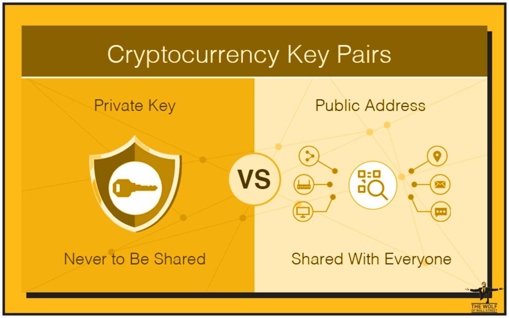 What is a Seed Phrase? – Your Million-Dollar Backup