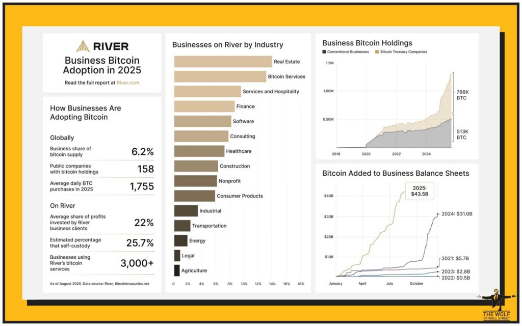 Analyst Insights – Bitcoin as a Complement, Not a Replacement