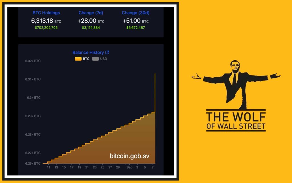 The Birth of Bitcoin Nation