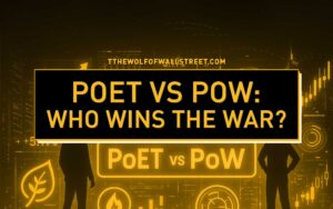 Proof of Elapsed Time (PoET) Definition, Purposes, Vs. PoW