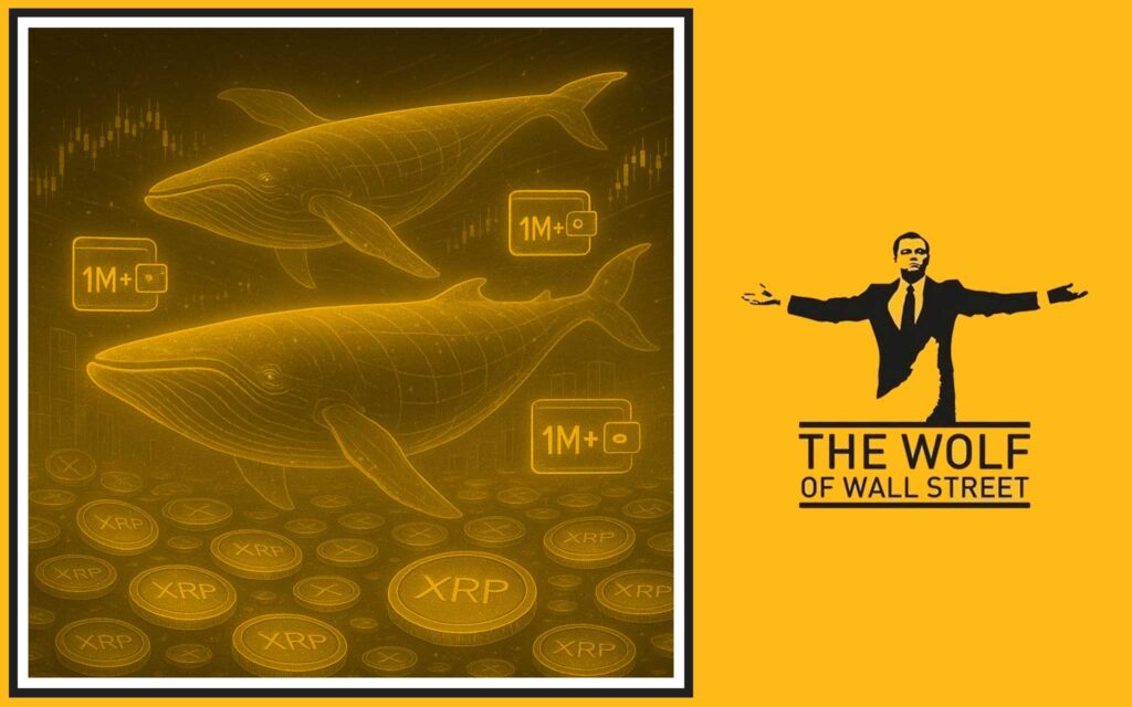 Whale Wallets: Silent Giants of XRP