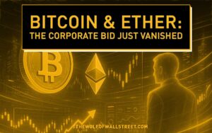 Bitcoin & Ether Treasuries Have Ghosted Since the Crash - What Smart Traders Need to Know Now